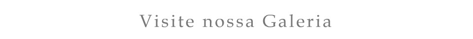 Visite nossa Galeria